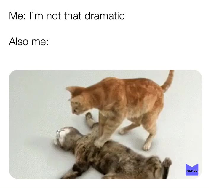 #dramatic#cat#memes