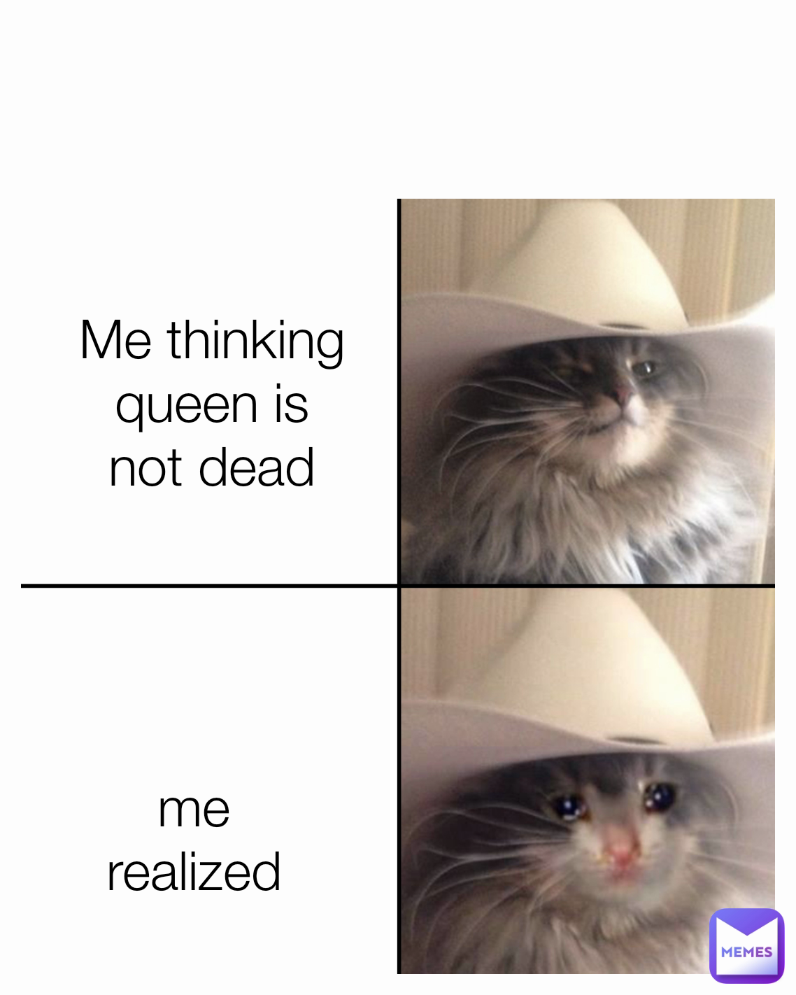 Me thinking  queen is not dead me realized