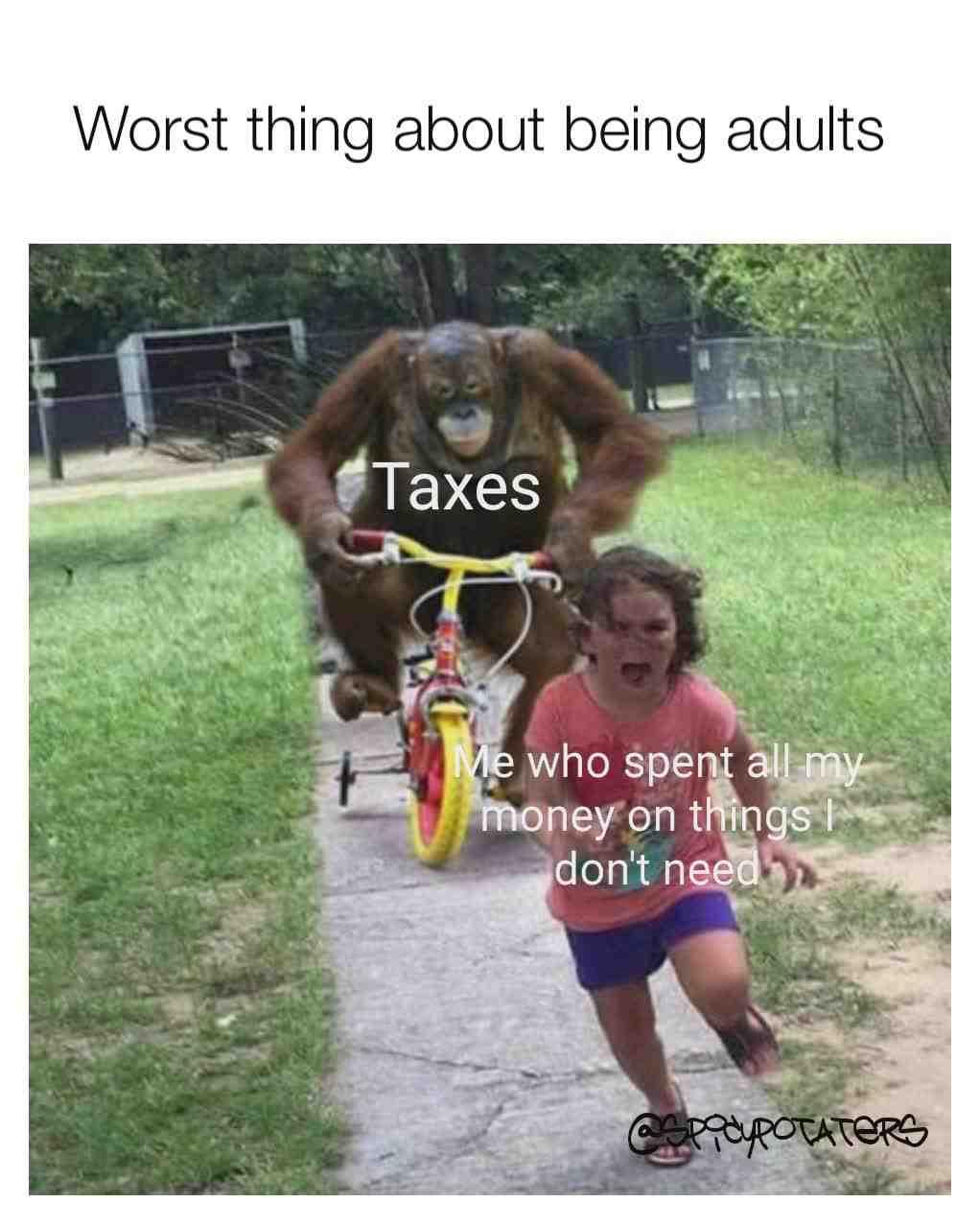 Meme shared by @SpicyPotaters