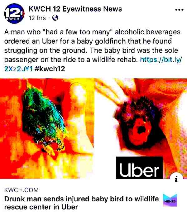 Meme shared by @Bananana