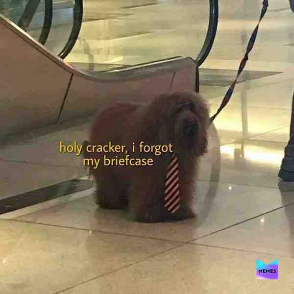 Meme shared by @Bananana