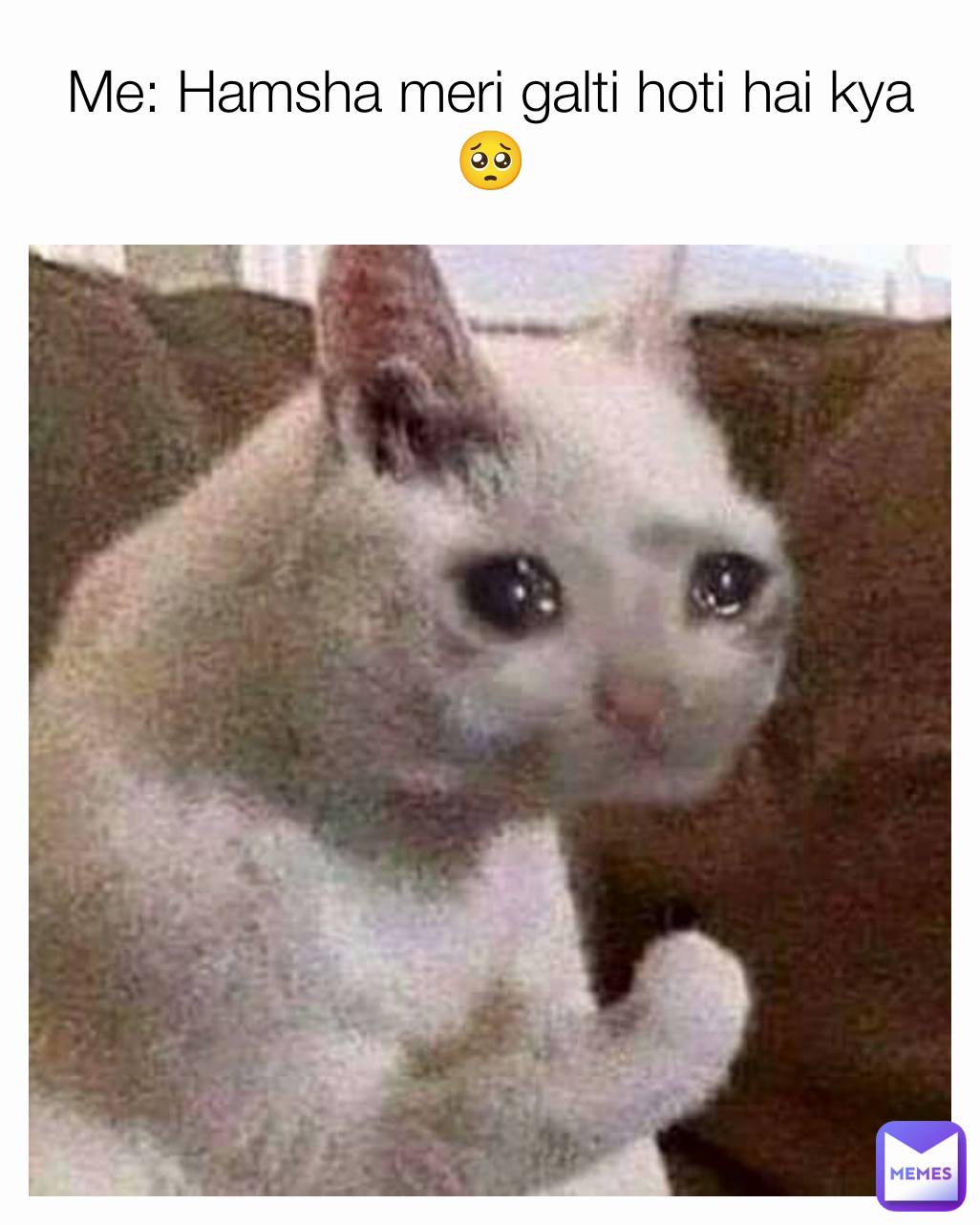 Me Hamsha Meri Galti Hoti Hai Kya🥺 Memesswag07 Memes 1364