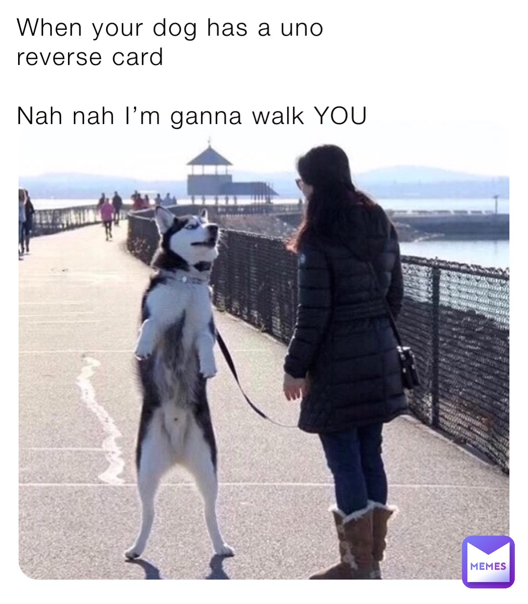 When your dog has a uno reverse card

Nah nah I’m ganna walk YOU