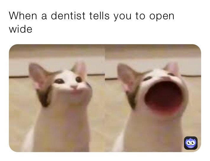 When a dentist tells you to open wide