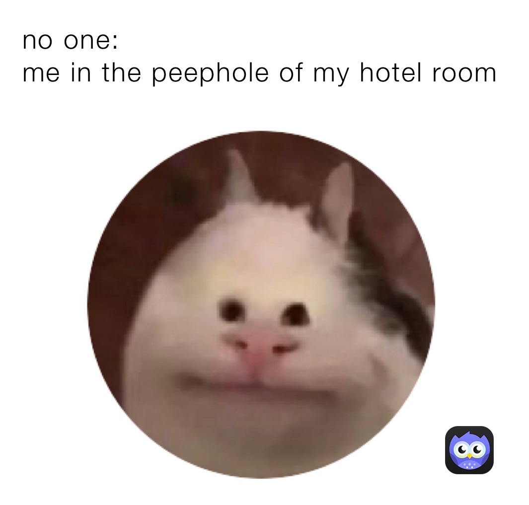 no one: 
me in the peephole of my hotel room 