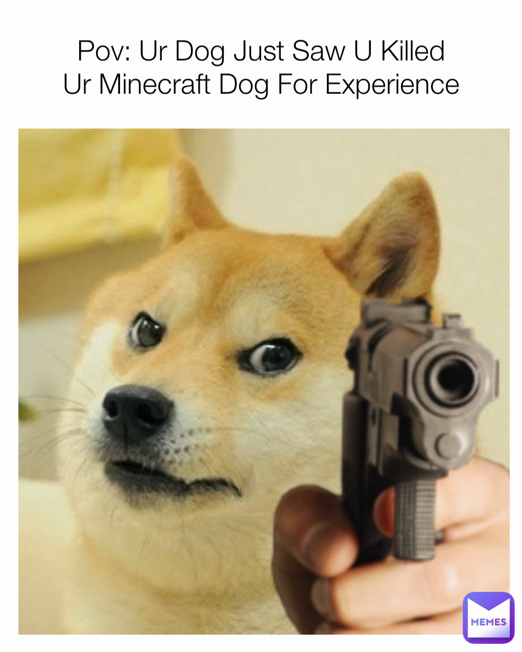 Pov: Ur Dog Just Saw U Killed
Ur Minecraft Dog For Experience