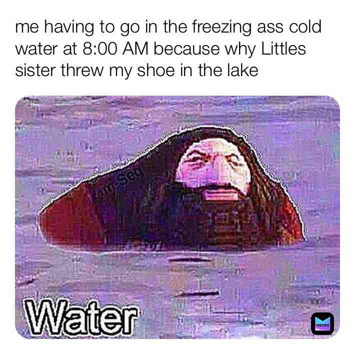 Meme shared by @rAnCh_DaYs