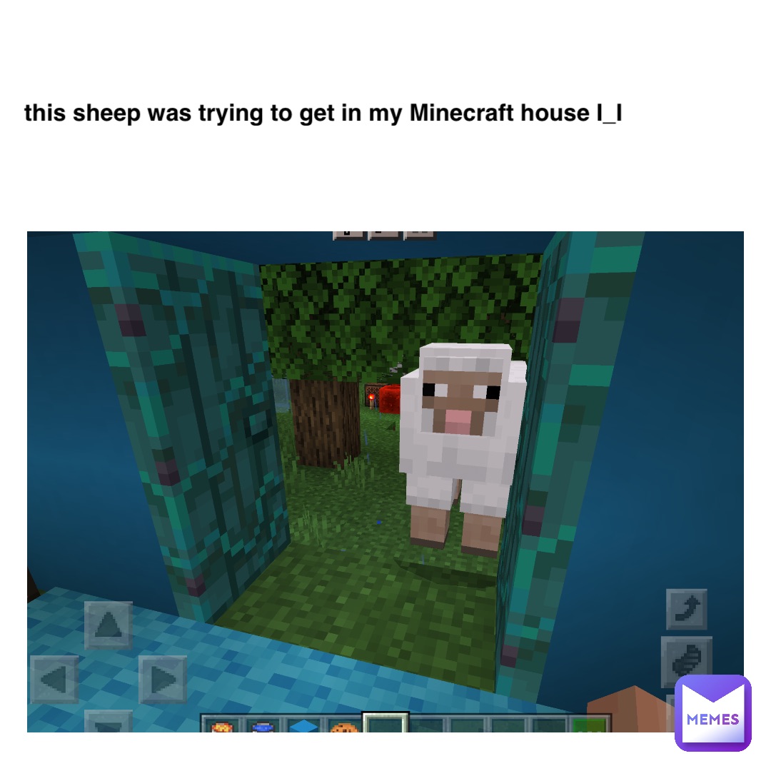 Text Here this sheep was trying to get in my Minecraft house I_I