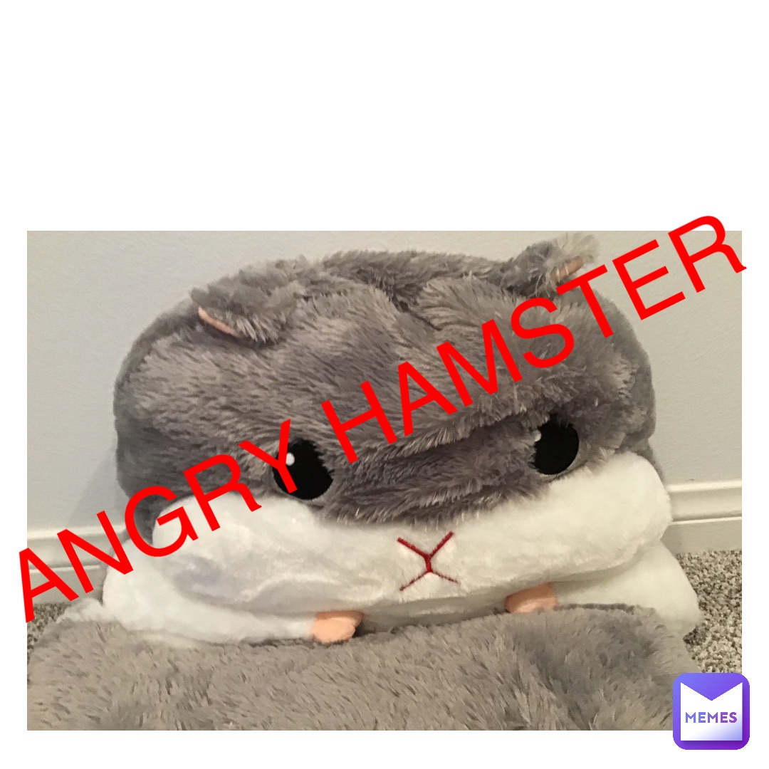 ANGRY HAMSTER