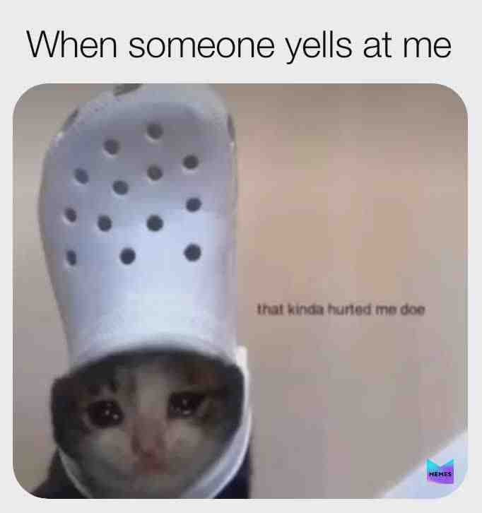 Meme shared by @IdkAnyGoodUsername