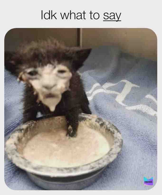 This is not a meme but just look at this beauty