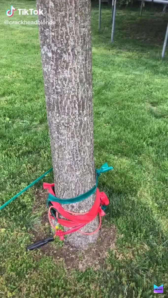 Video not mine :>