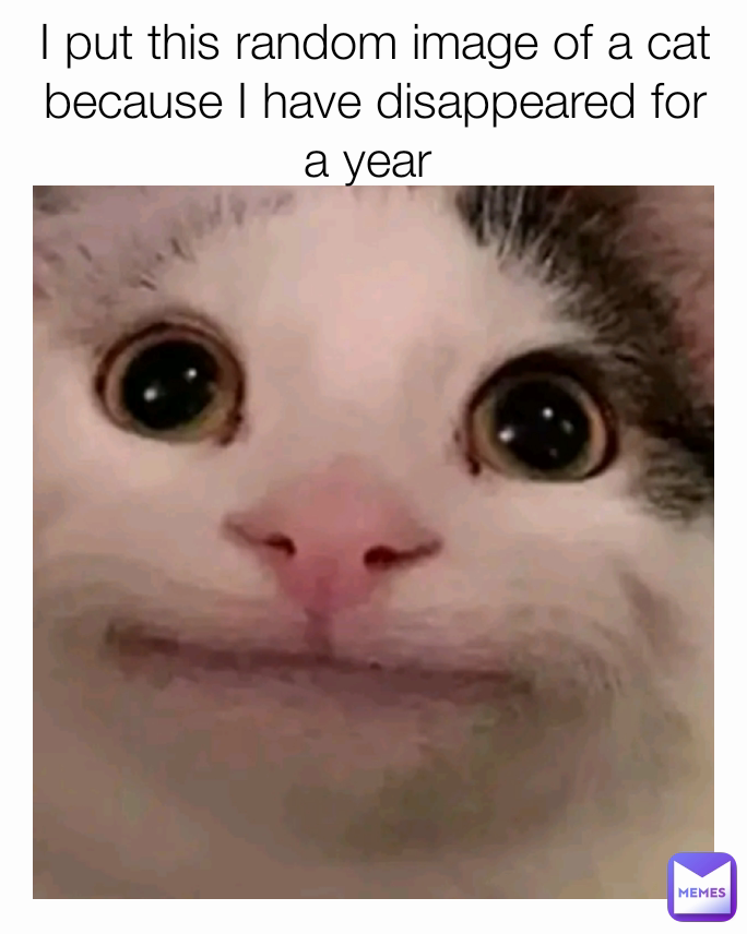 I put this random image of a cat because I have disappeared for a year 