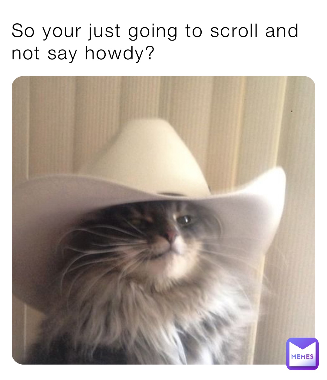 So your just going to scroll and not say howdy?