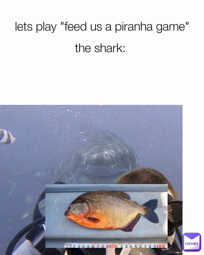 the shark: lets play "feed us a piranha game"