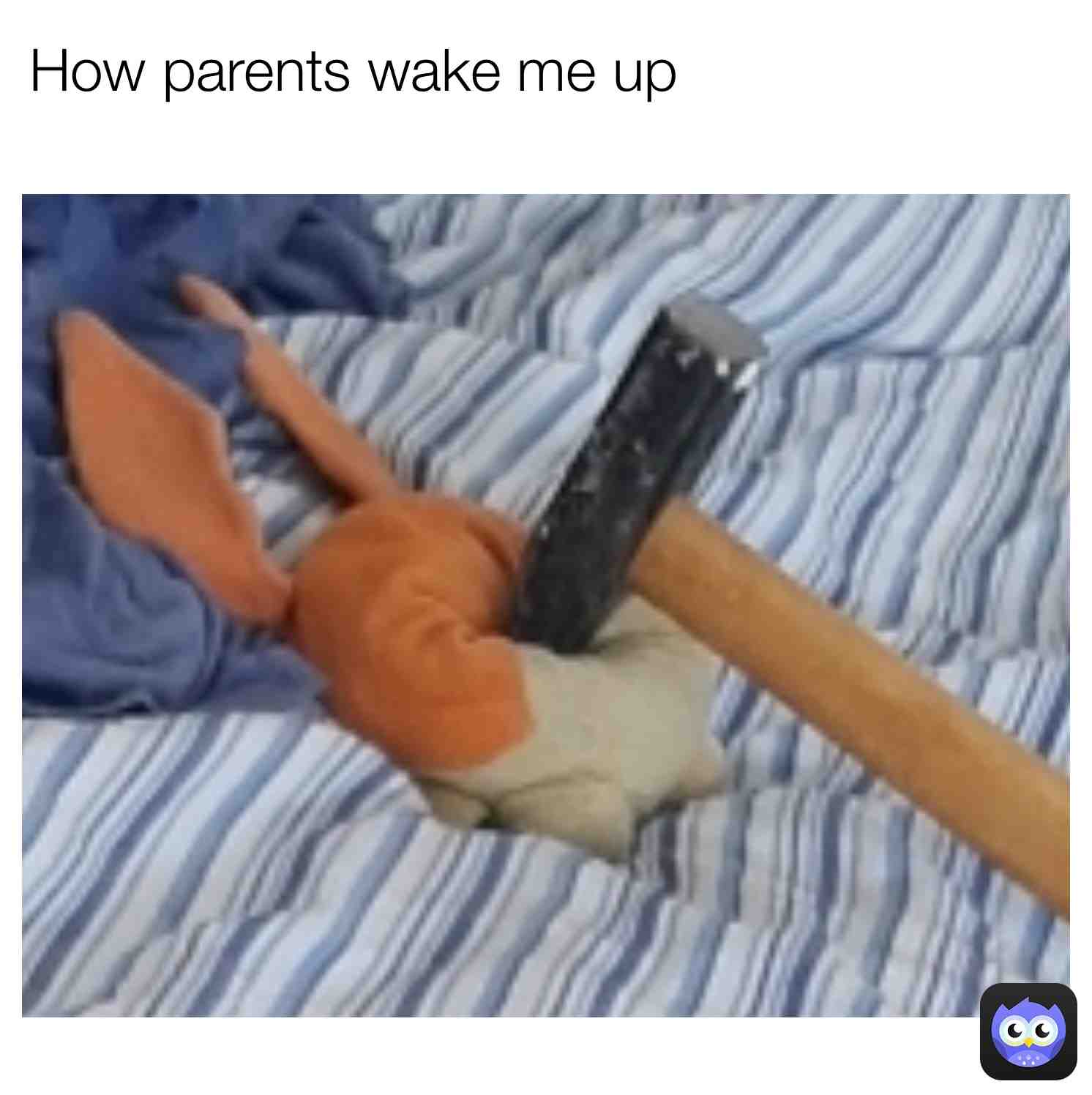 5 more minutes