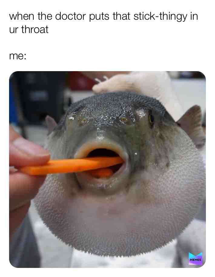 this is why i hate the doctors. eat ur apples. \ud83e\udd27
#doctors #fish