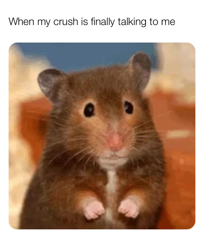 .....