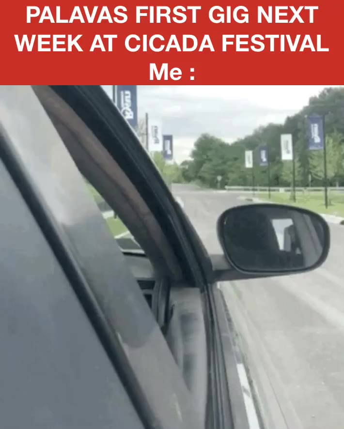 #music  #festival