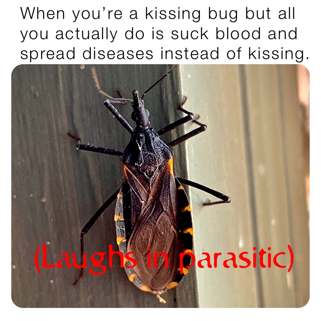 When you’re a kissing bug but all you actually do is suck blood and spread diseases instead of kissing. (Laughs in parasitic)