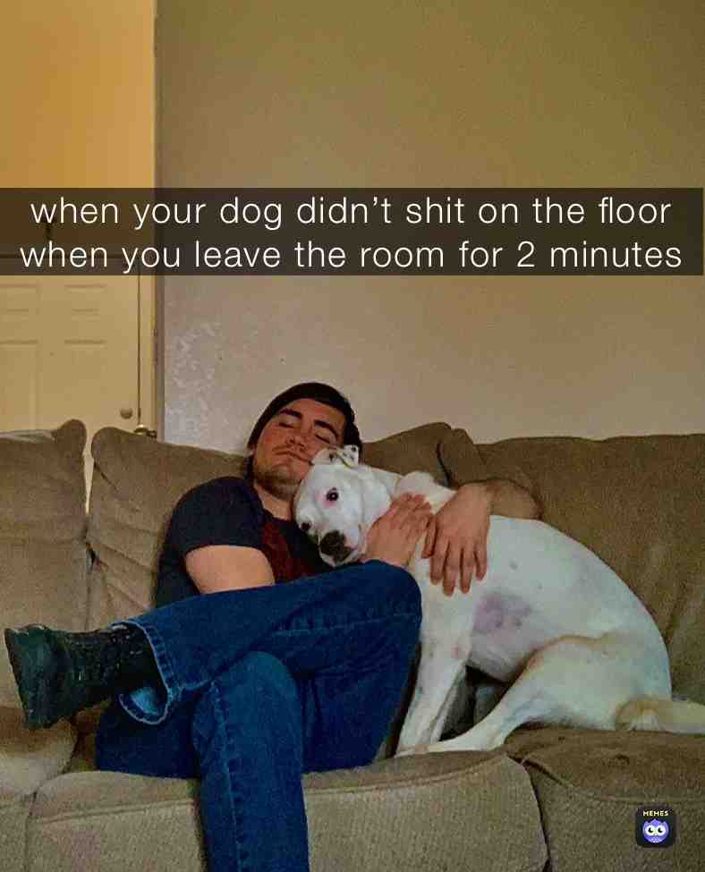 #dog #pet #hug