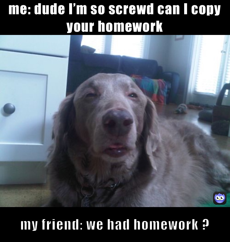 me: dude I’m so screwd can I copy your homework  my friend: we had homework ?