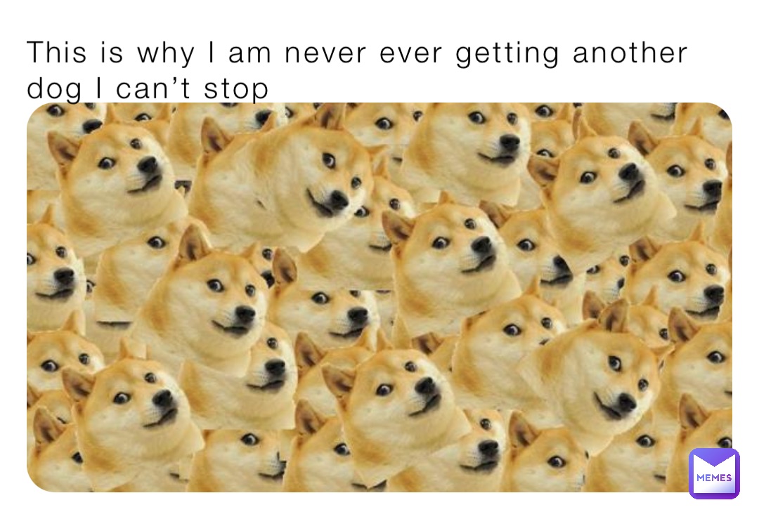 This is why I am never ever getting another dog I can’t stop
