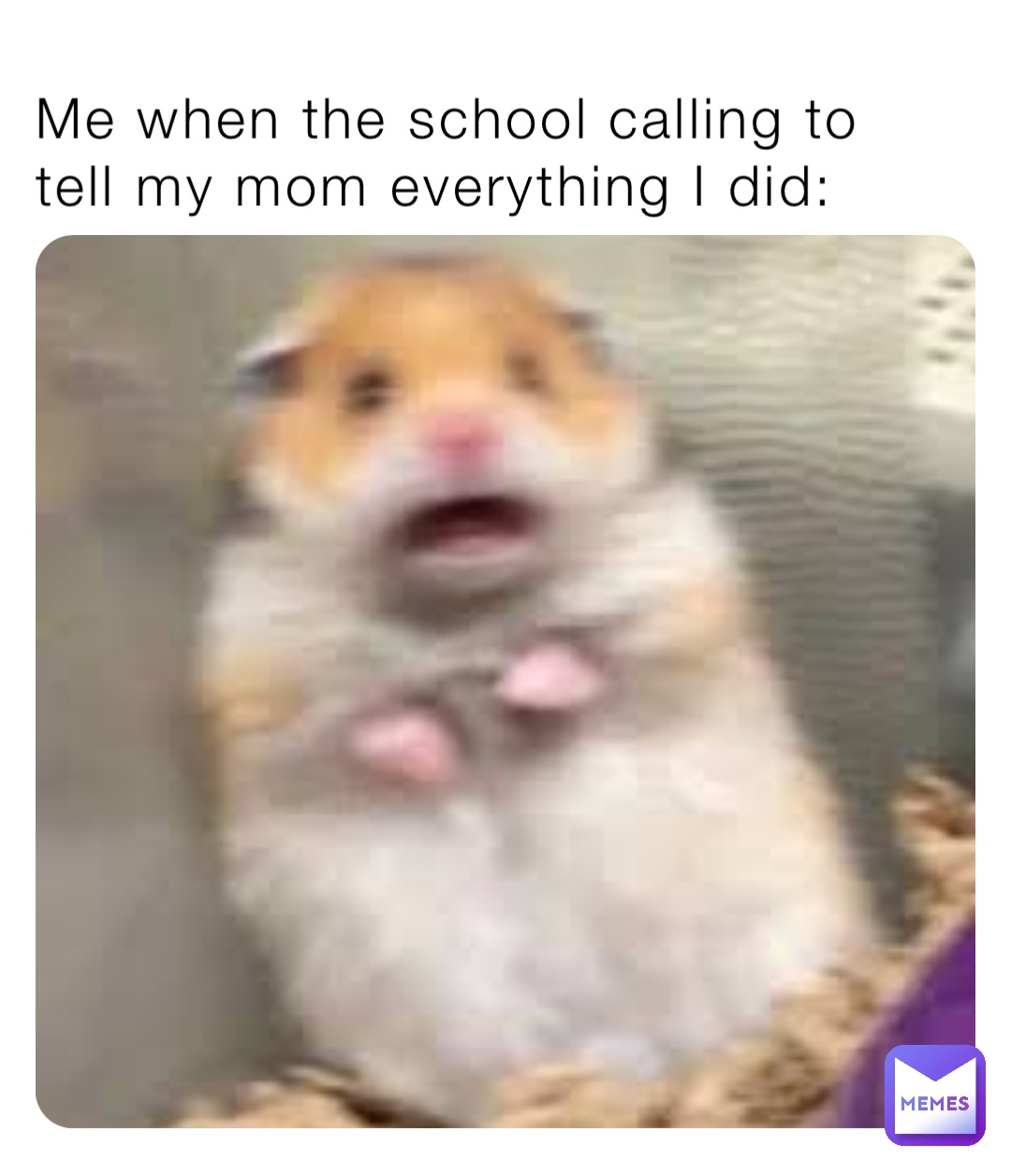 Meme by spookyXdemonX