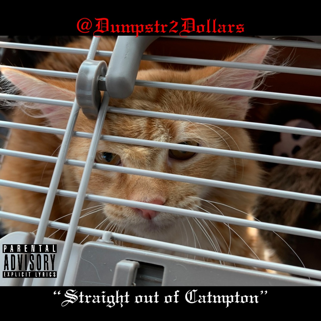 @Dumpstr2Dollars Double tap to edit “Straight out of Catmpton”