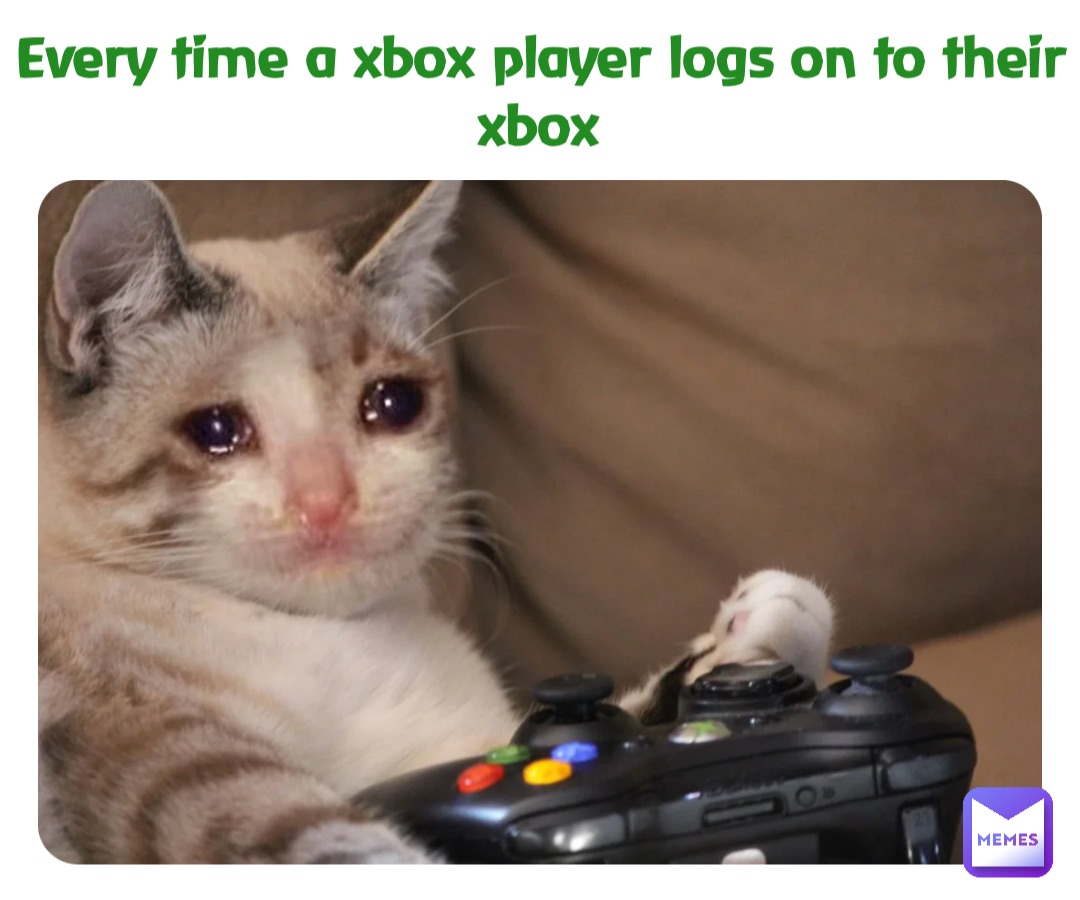 Every time a xbox player logs on to their xbox