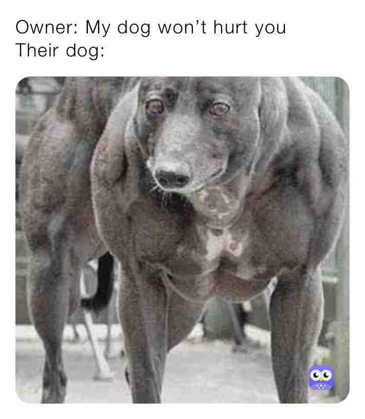 Meme shared by @HomaSaur