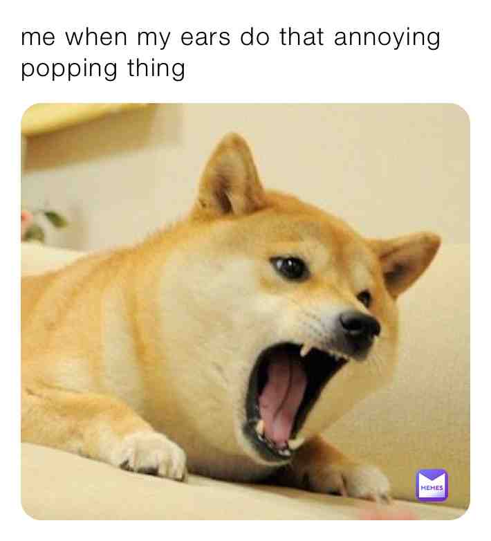 Meme shared by @HomaSaur
