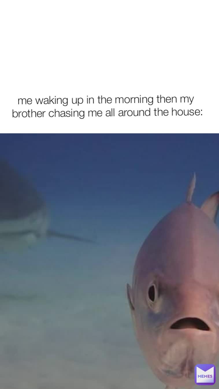 me waking up in the morning then my 
brother chasing me all around the house: