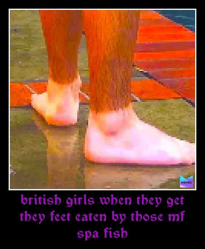 those spa fish be violent asf lmao 🦶🦶🥊🥊🥵🥵😎😎 #69