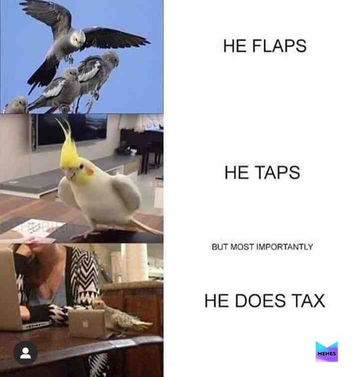 i love birds 🐦 🦕