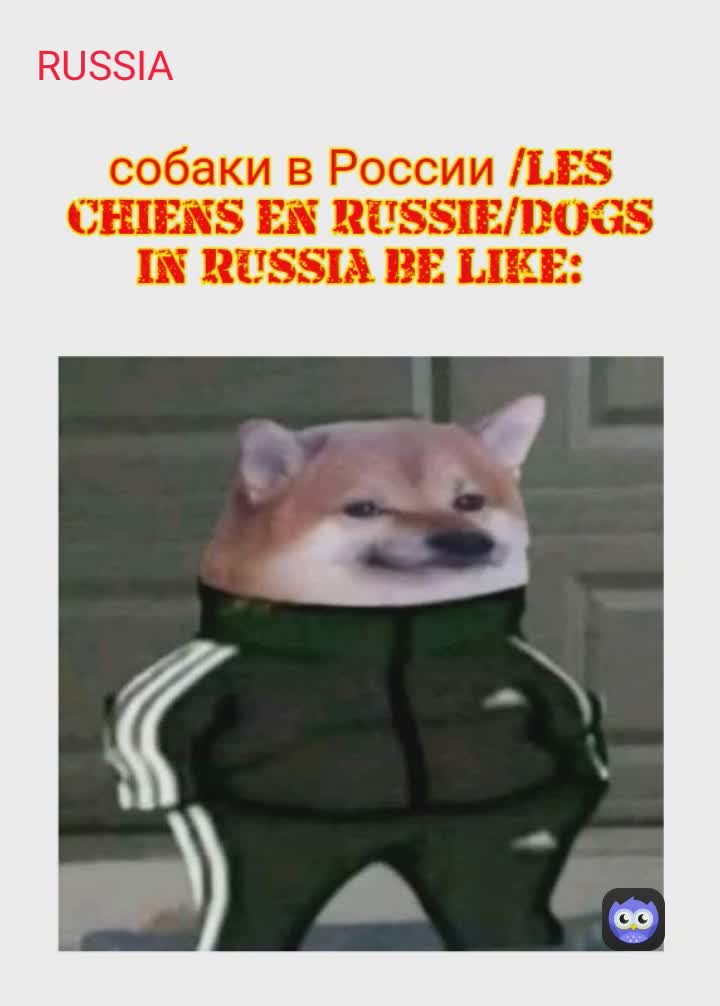 Meme by Nexus_Genesis