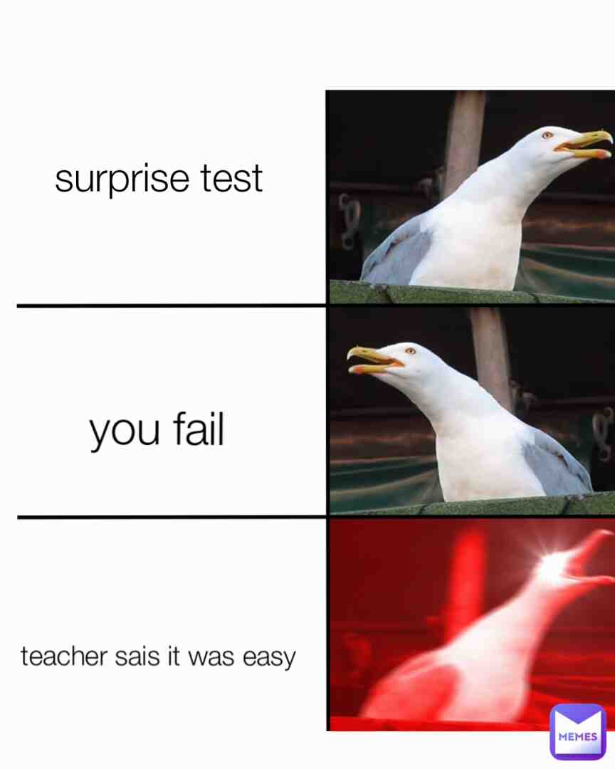 Meme shared by @AXELotle