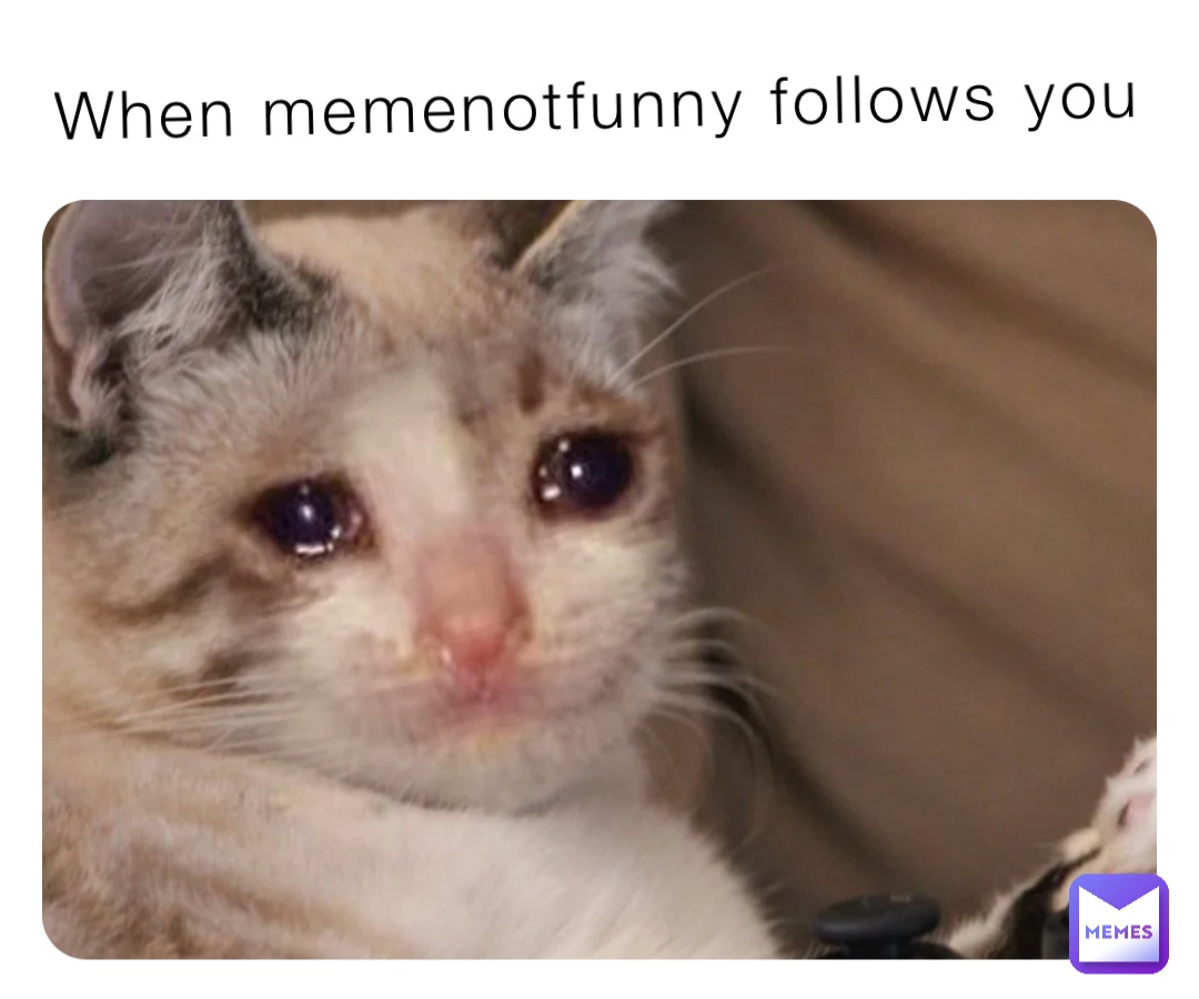 When memenotfunny follows you