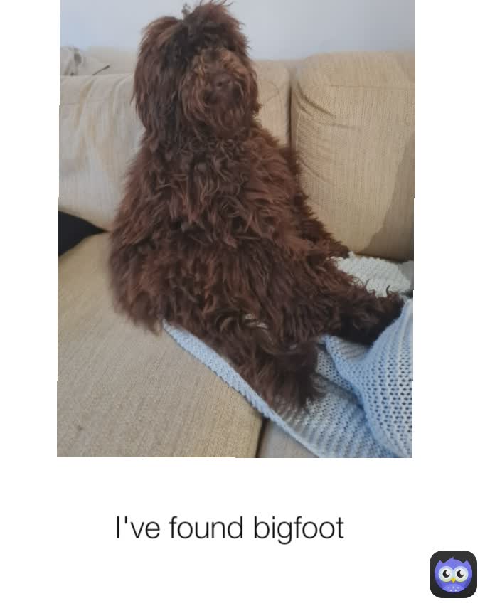 I've found bigfoot