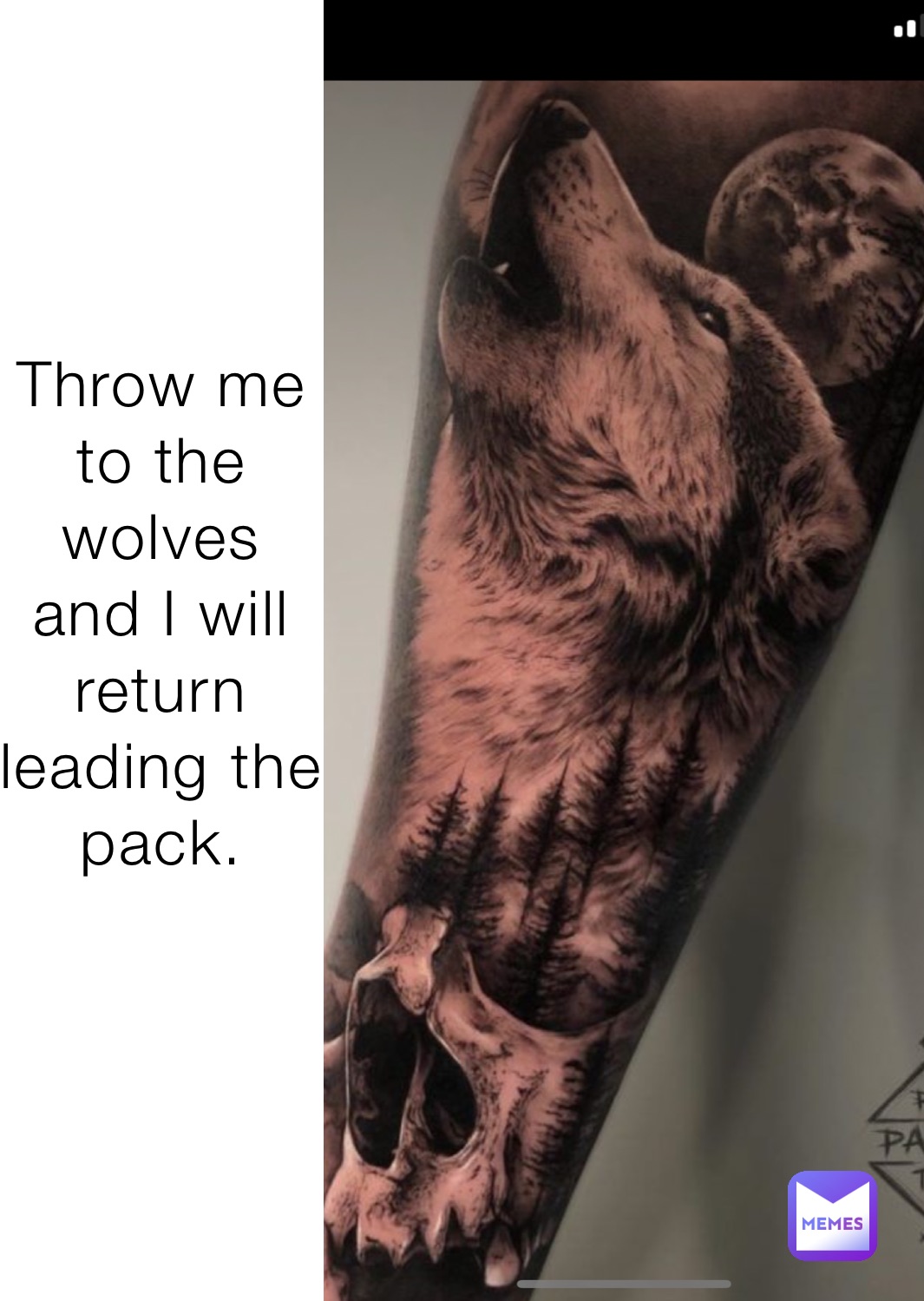 Throw me to the wolves and I will return leading the pack.
