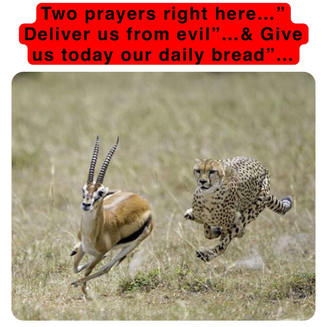 Meme by themint_star