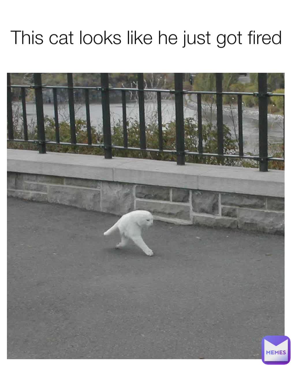 Meme by Jani.Strauss