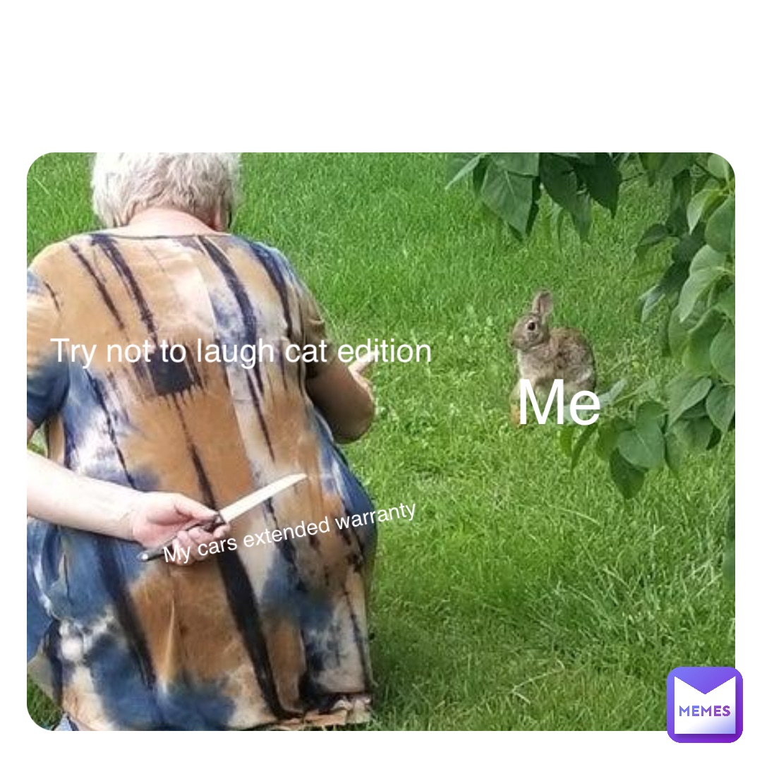 Double tap to edit Me Try not to laugh cat edition My cars extended warranty