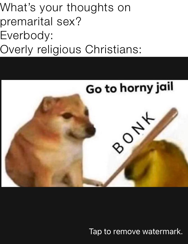 What’s your thoughts on premarital sex?
Everbody:
Overly religious Christians: