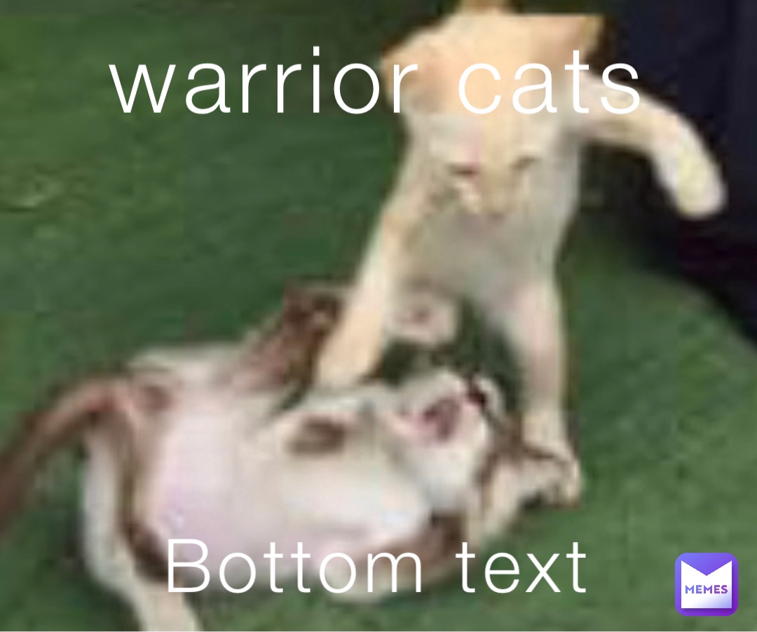 warrior cats Bottom text