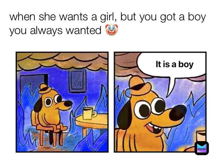  #meme #meme Sad #itsaboy #boy #fire #dog #shook