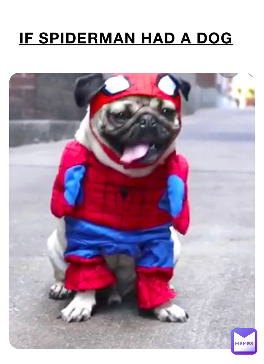 If Spiderman had a dog | @jjjjjj2222 | Memes