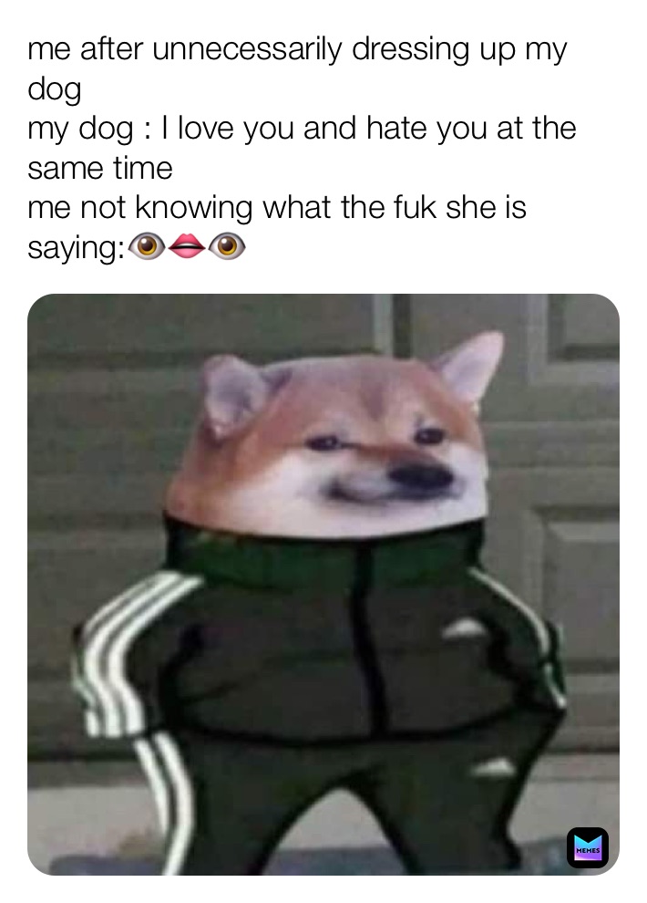 me after unnecessarily dressing up my dog
my dog : I love you and hate you at the same time 
me not knowing what the fuk she is saying:👁👄👁