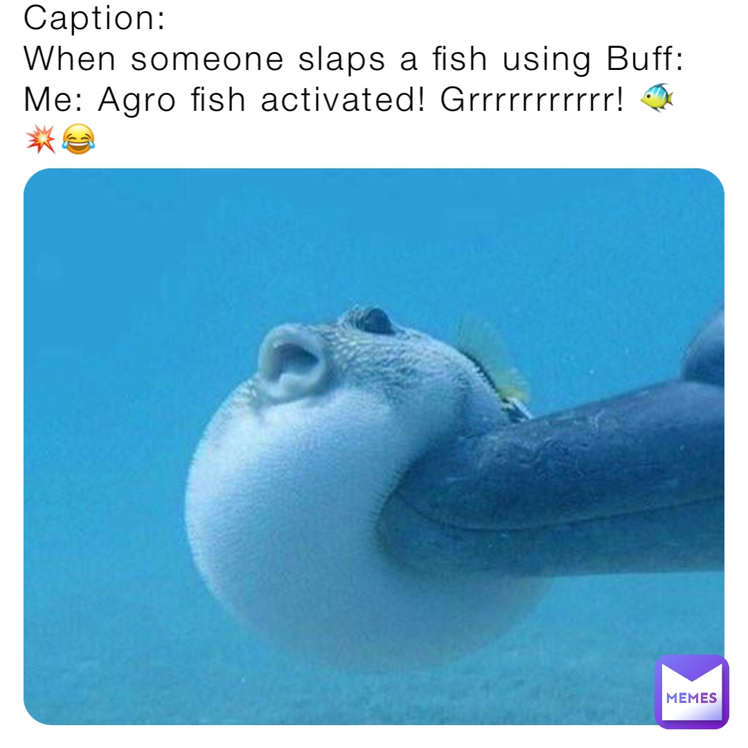 Caption: 
When someone slaps a fish using Buff: 
Me: Agro fish activated! Grrrrrrrrrrr! 🐠💥😂