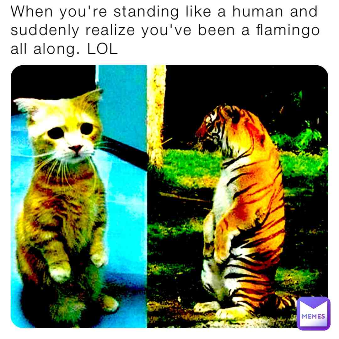 Jdsjdksjsnmssmmdndmdmd.Com meme guy